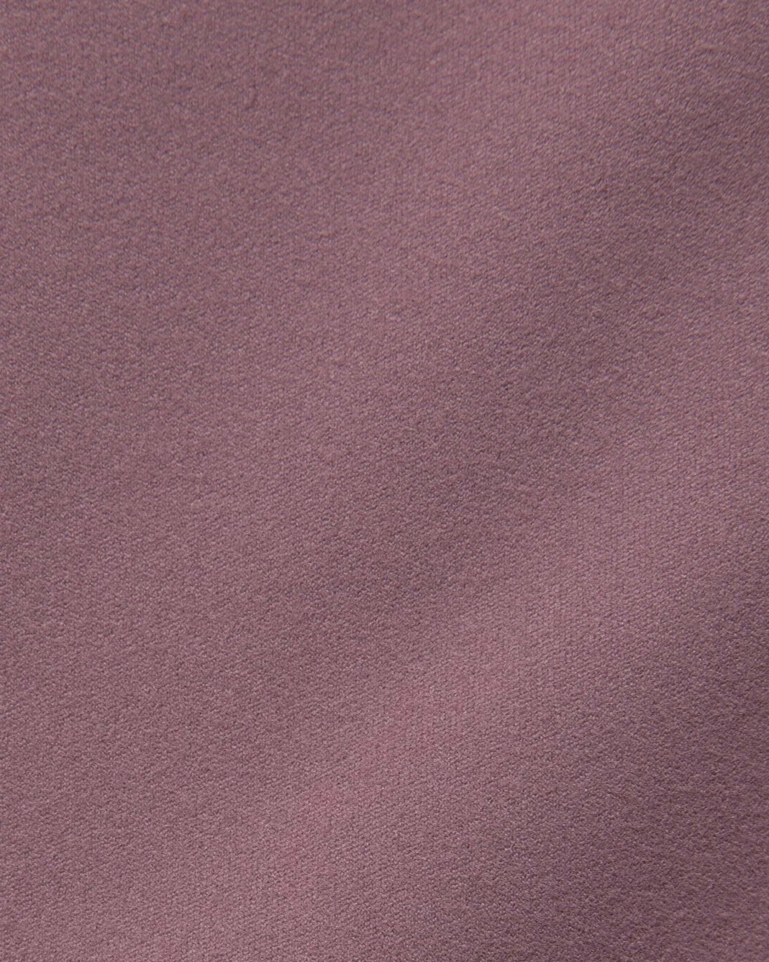 BLOCHeverhold 8 Inch Short 7 BLOCHeverhold 8 Inch Short - Image 5